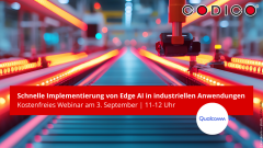 Eine Grafik mit einer industriellen Produktion im Hintergrund und dem Titel des Webinars im Vordergrund.