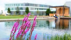 Dieses Bild zeigt zwei Mitarbeiter, die am Rand des Teichs im CODICO Central Park sitzen.